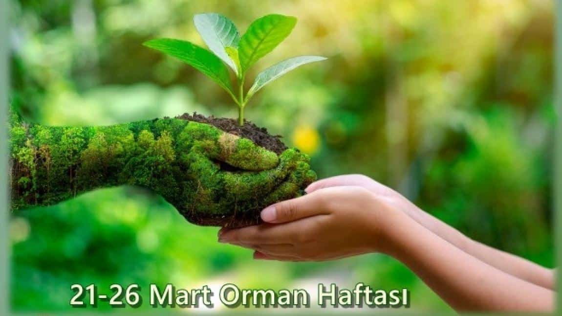 ORMAN HAFTASI